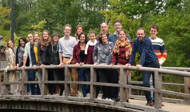 Team Building 2019